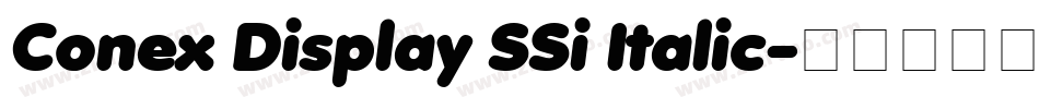 Conex Display SSi Italic字体转换